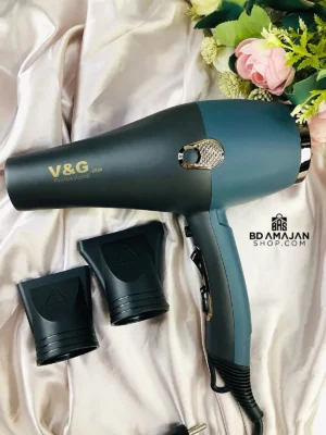 V&G 2000 Professional Hair Dryer