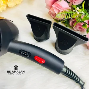 V&G PRO 4300 Professional Hair Dryer