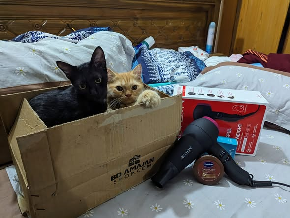 দারূন সব স্কিন কেয়ার প্রোডাক্ট,প্রতিটি মেম্বার-ই অনেক আন্তরিক। প্রোডাক্টের সাথে সাথে বক্স টাও তোহ আমাদের ভালো লেগেছে 😉